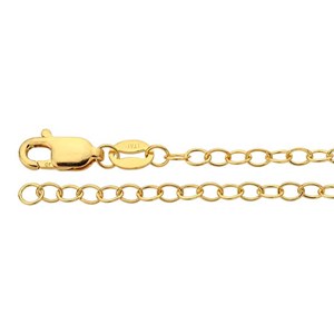 minimalist oval cable chain necklace in gold filled finish
